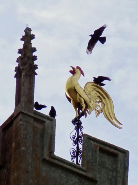 Winchcombe Church Rooster
