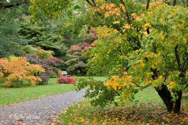 Path with Bench at Westonbirt Arboretum, Tetbury, UK