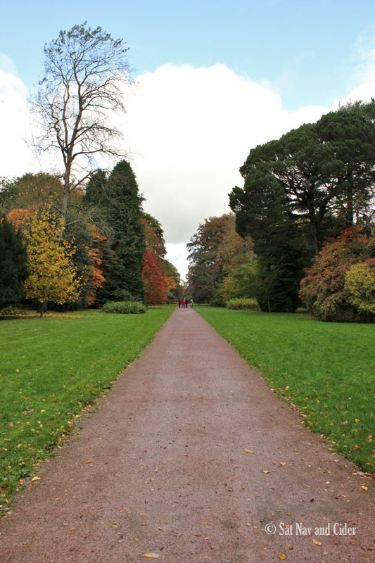 Path at Westonbirt Arboretum, Tetbury, UK